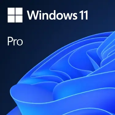 [SMWOSW11PL] Windows 11 Professional License
